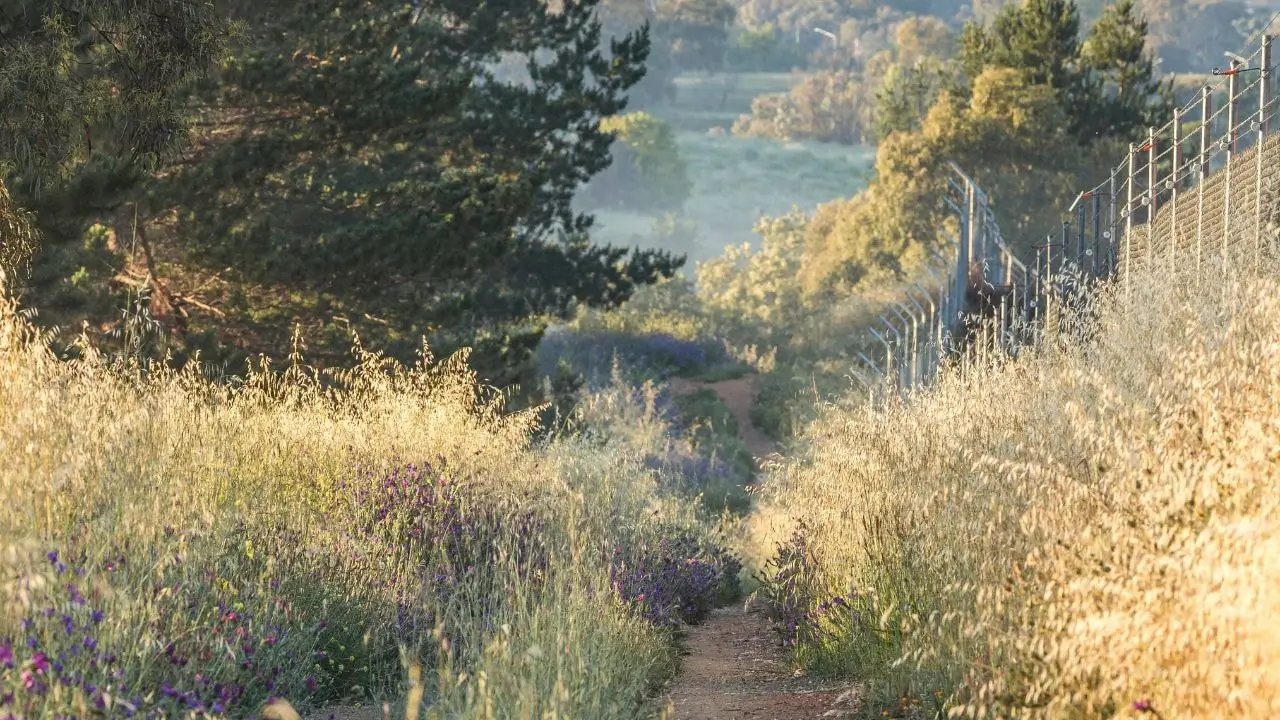 Challenging gravel climbs on a trail, showcasing the diverse cycling routes of Molonglo Gorge