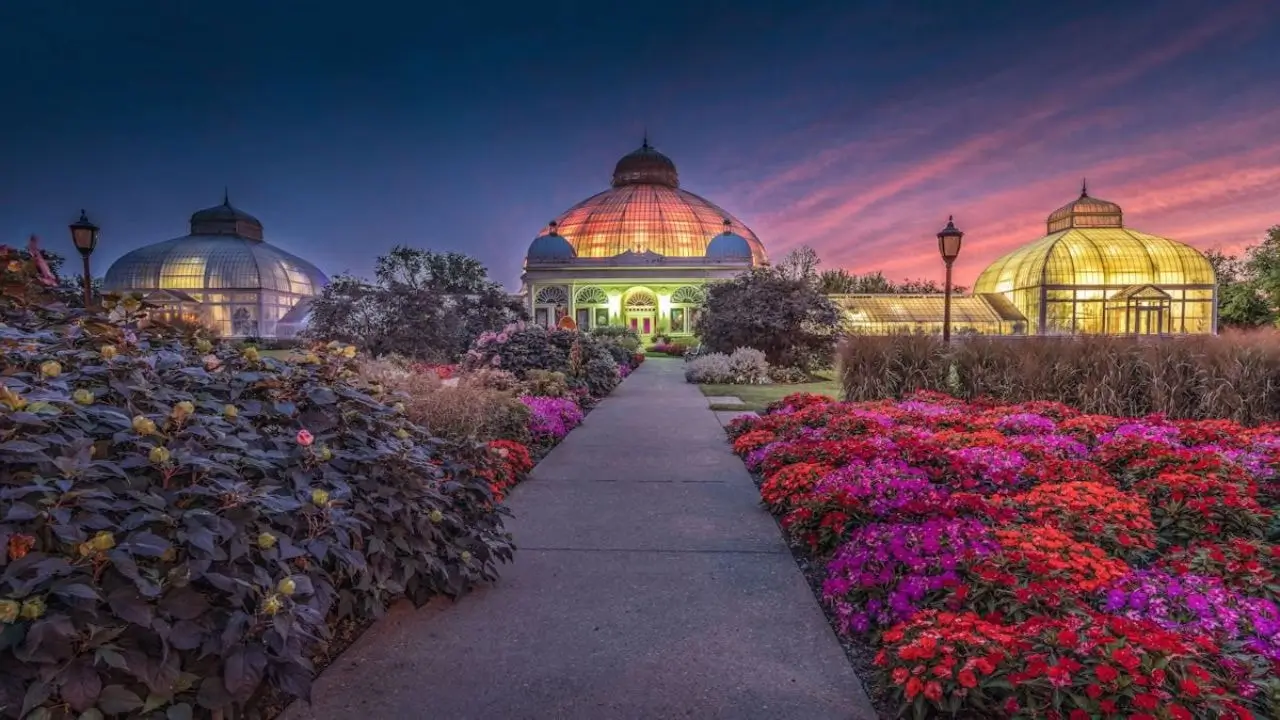 The Adelaide Botanic Garden illuminated at dusk, showcasing vibrant floral displays