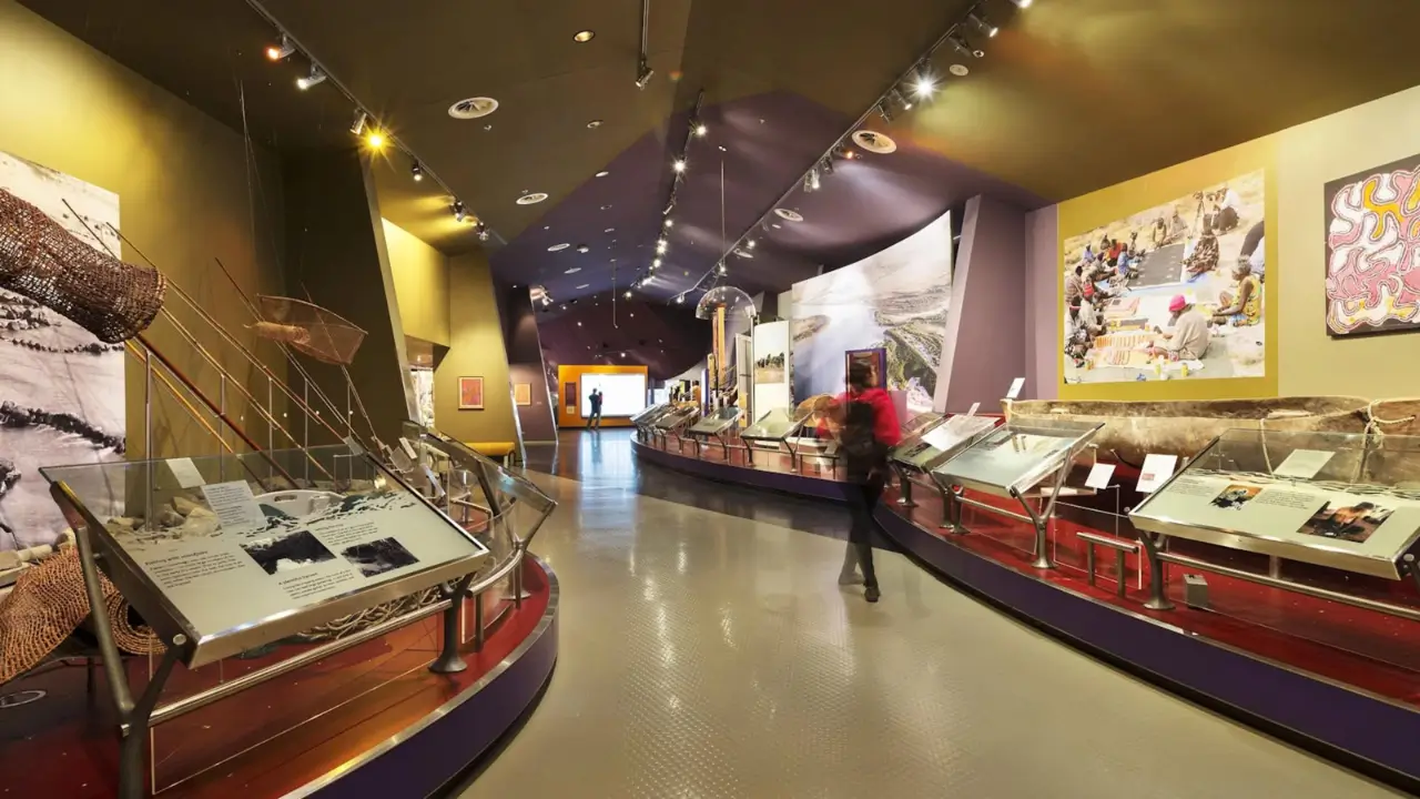  the National Museum’s discovery zone