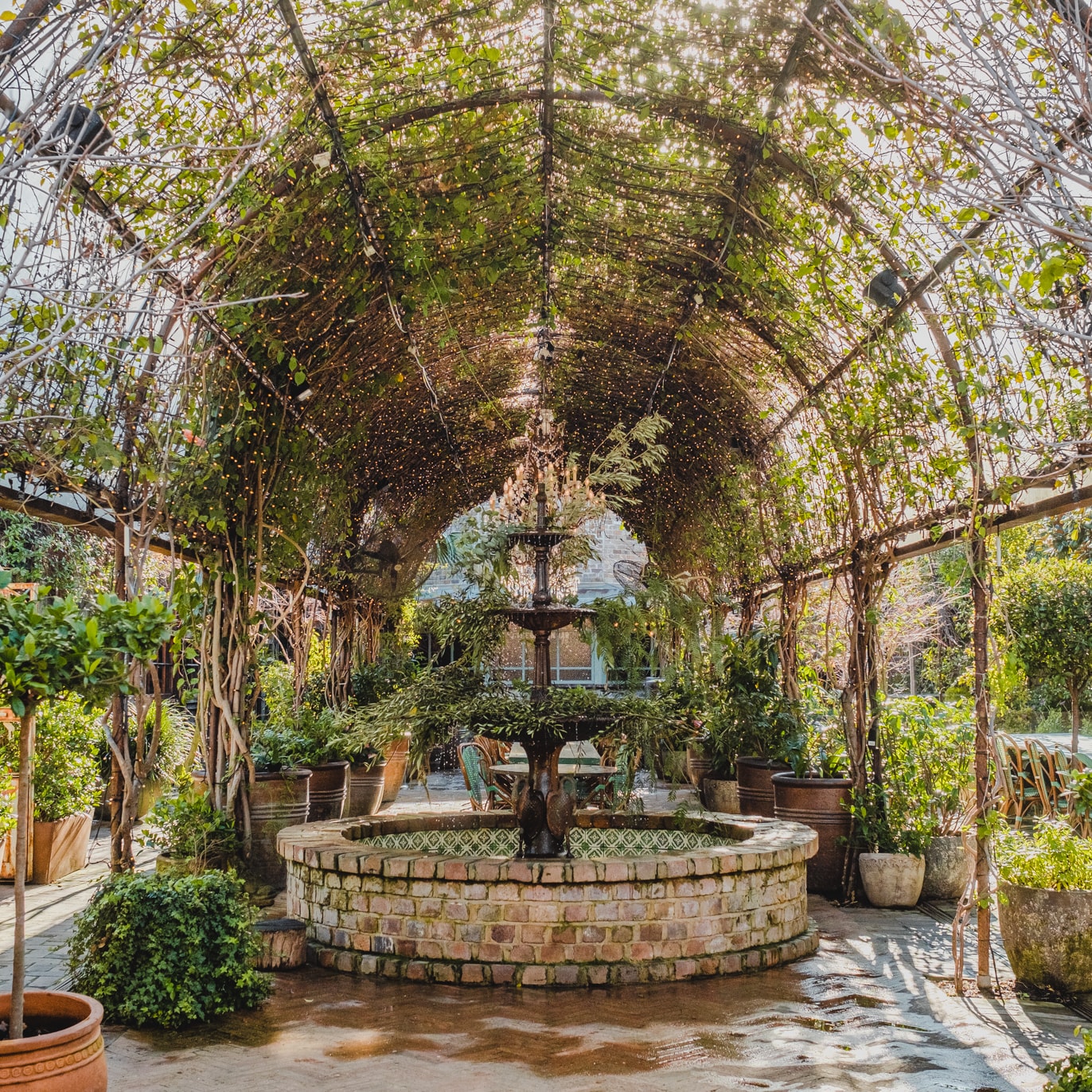 Garden with a fountain in the middle